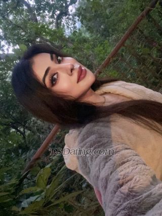 trans girl NikkiRoy 1817421 trans girl NikkiRoy 1817421