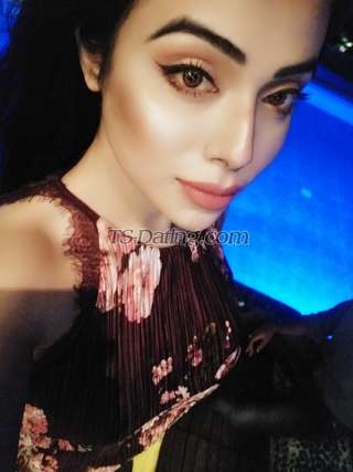 trans girl NikkiRoy 1881684 trans girl NikkiRoy 1881684
