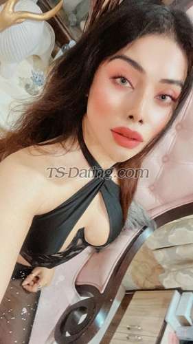 trans girl NikkiRoy 2162618 trans girl NikkiRoy 2162618