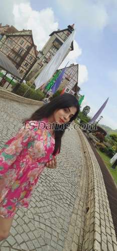 trans girl NikkiRoy 2215449 trans girl NikkiRoy 2215449