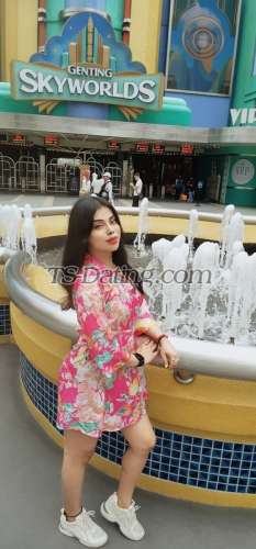 trans girl NikkiRoy 2215492 trans girl NikkiRoy 2215492
