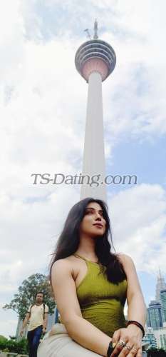 trans girl NikkiRoy 2215588 trans girl NikkiRoy 2215588