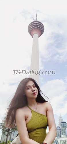 trans girl NikkiRoy 2215820 trans girl NikkiRoy 2215820