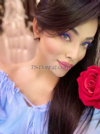 trans girl NikkiRoy 2557729 trans girl NikkiRoy 2557729