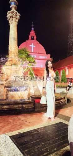 trans girl NikkiRoy 3046188 trans girl NikkiRoy 3046188