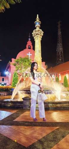 trans girl NikkiRoy 3046229 trans girl NikkiRoy 3046229