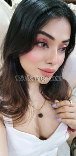trans girl NikkiRoy 3202085 trans girl NikkiRoy 3202085