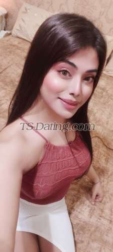 trans girl NikkiRoy 3808024 trans girl NikkiRoy 3808024