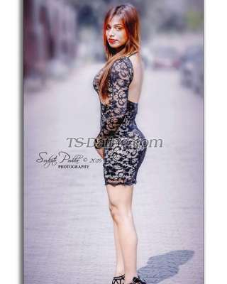 trans girl NikkiRoy 4072044 trans girl NikkiRoy 4072044
