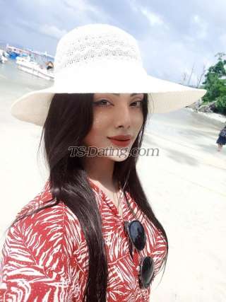 trans girl NikkiRoy 4351083 trans girl NikkiRoy 4351083