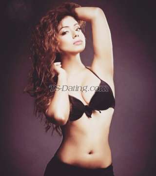 trans girl NikkiRoy 4385432 trans girl NikkiRoy 4385432