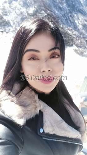 trans girl NikkiRoy 4719556 trans girl NikkiRoy 4719556