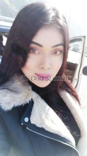 trans girl NikkiRoy 4719580 trans girl NikkiRoy 4719580