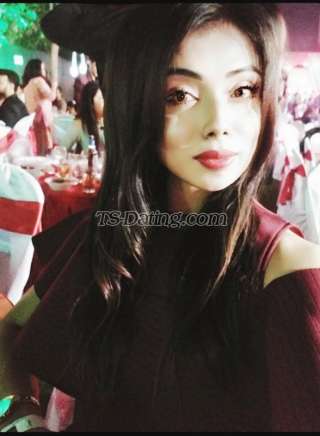 trans girl NikkiRoy 4969848 trans girl NikkiRoy 4969848