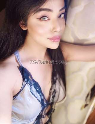 trans girl NikkiRoy 5186260 trans girl NikkiRoy 5186260