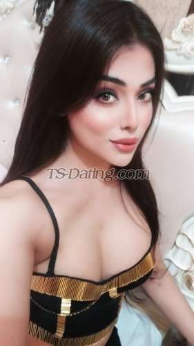 trans girl NikkiRoy 7032854 trans girl NikkiRoy 7032854