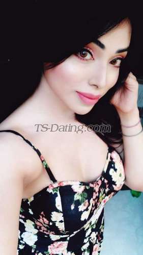 trans girl NikkiRoy 7379031 trans girl NikkiRoy 7379031