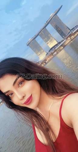 trans girl NikkiRoy 8221526 trans girl NikkiRoy 8221526