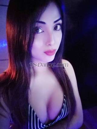 trans girl NikkiRoy 8372110 trans girl NikkiRoy 8372110