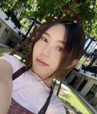 trans girl YukiBamby 6603992 trans girl YukiBamby 6603992